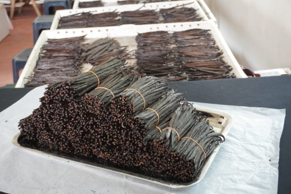 A Grade Organic Vanilla Beans Sri Lanka