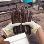 Vanilla Beans Curing process