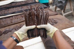 Vanilla Beans Curing process