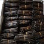 Ceylon vanilla beans grade a