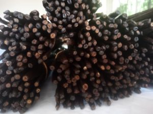 Ceylon Vanilla beans grade B for extract