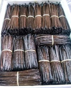 Bulk vanilla beans A grade 