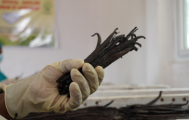 How many vanilla pods in a Pound (lb), 1Kilogram (kg), 1 Ounce (oz)