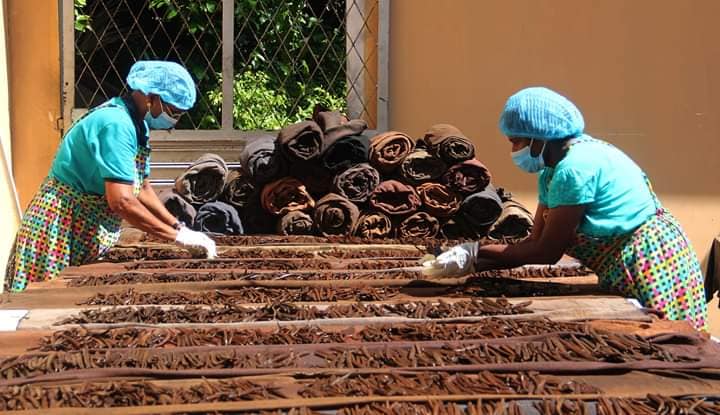 Vanilla Growers Association curing process with Sri Lankan farmers