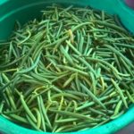 Sri Lanka Cleaned green Vanilla Curing process