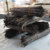 A Grade Vanilla Beans (7-8") | Sri Lanka Vanilla Beans Price wholesale per Kg