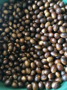 Sri Lanka Nutmeg Wholesale Price Organic With and without Shell