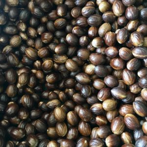 Sri Lanka Nutmeg Wholesale Price