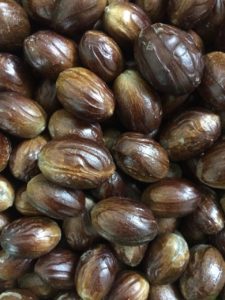 Nutmeg Wholesale