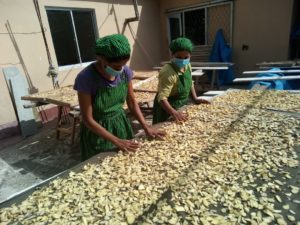 Drying Process Ginger 