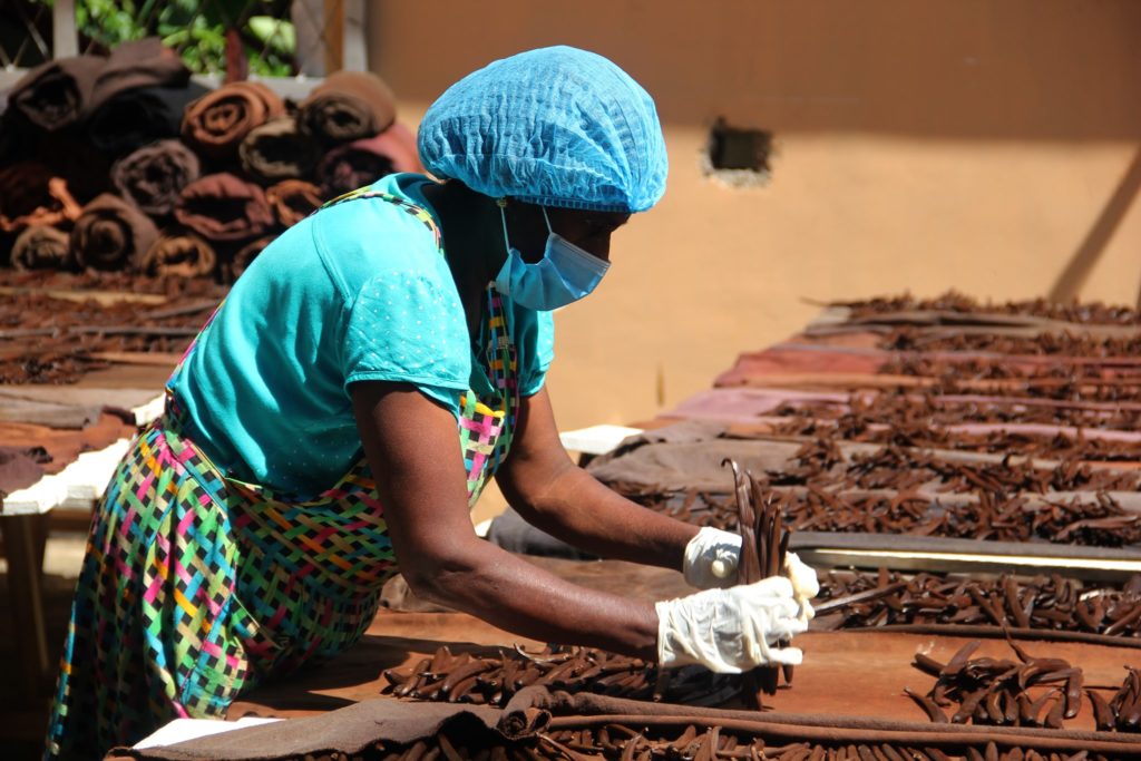 Cheapest place to buy vanilla beans