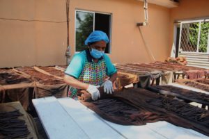 Vanilla Beans Curing process