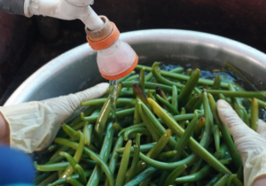 Vanilla Beans Curing Process