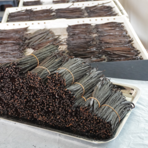 Organic Wholesale Vanilla Beans