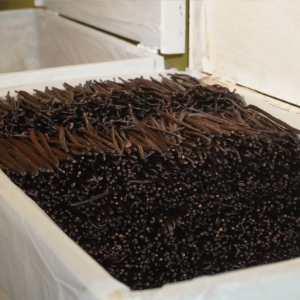 Storing Cured Vanilla Beans