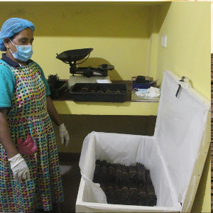 Storing Cured Vanilla Beans