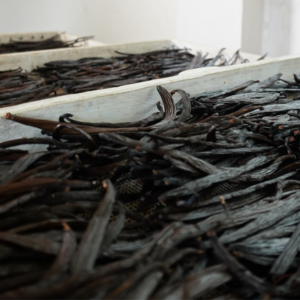 Buy Sri Vanilla Beans For Wholesale Price Online. - Vanilla Ceylon