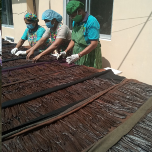 Vanilla Beans drying process Sri Lanka