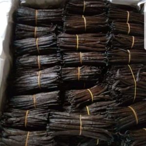 Organic Ceylon Vanilla Beans