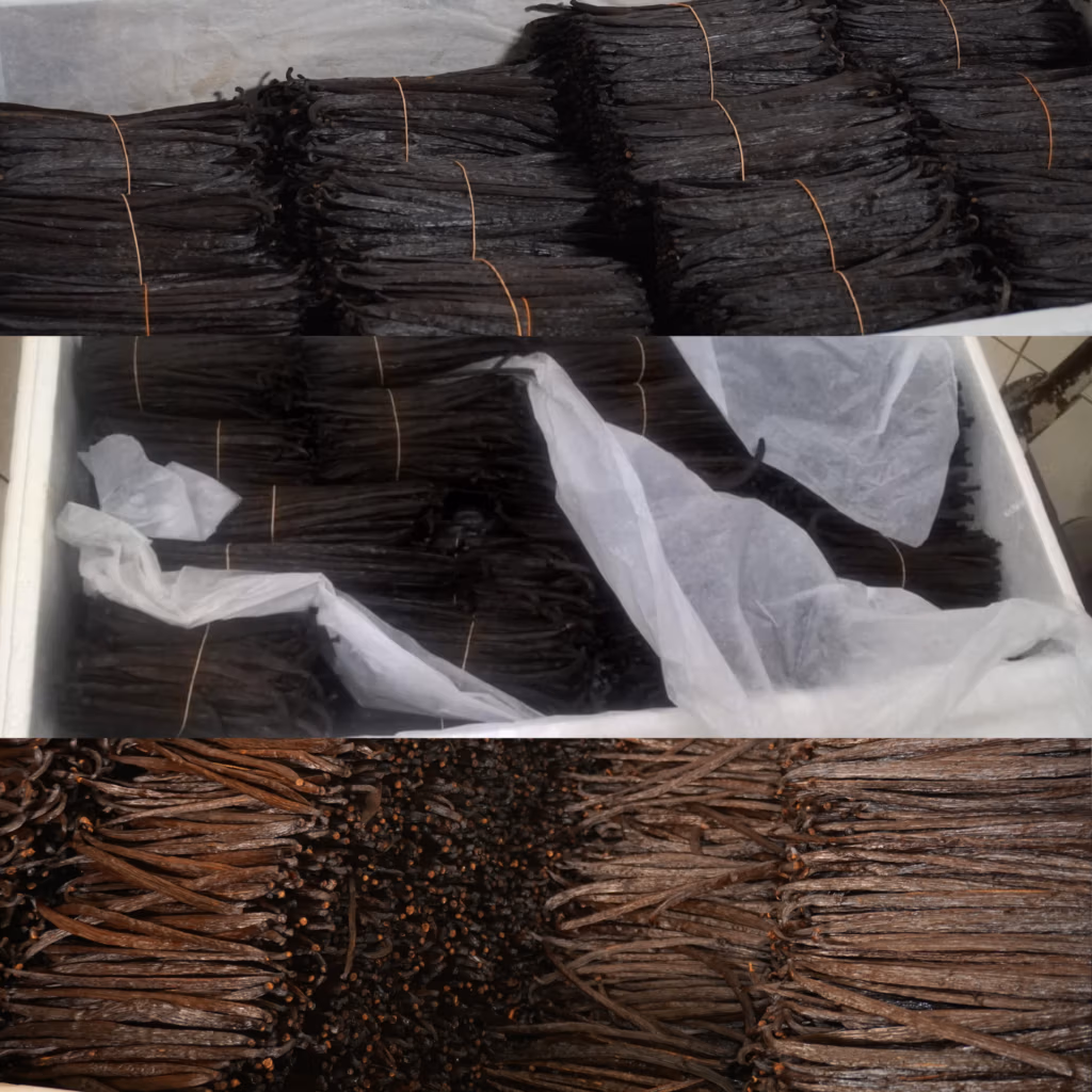 Buy Premium Quality Organic Sri Lanka Vanilla Beans, Paste, Powder, Extracts from main exporter Ceylon Vanilla Lanka Pvt Ltd  Order organic Premium Vanilla Beans from Sri Lanka. The manufacturer for vanilla Grade A, B. Our Cured Vanilla pods are avialable for Retail and Wholesale Orders
