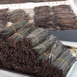 Buy Premium Quality Organic Sri Lanka Vanilla Beans, Paste, Powder, Extracts from main exporter Ceylon Vanilla Lanka Pvt Ltd  Order organic Premium Vanilla Beans from Sri Lanka. The manufacturer for vanilla Grade A, B. Our Cured Vanilla pods are avialable for Retail and Wholesale Orders
