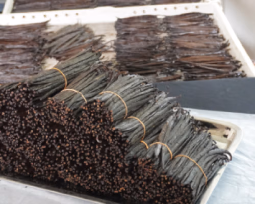 Buy Premium Quality Organic Sri Lanka Vanilla Beans, Paste, Powder, Extracts from main exporter Ceylon Vanilla Lanka Pvt Ltd  Order organic Premium Vanilla Beans from Sri Lanka. The manufacturer for vanilla Grade A, B. Our Cured Vanilla pods are avialable for Retail and Wholesale Orders