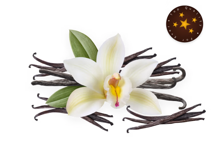 Buy Premium Quality Organic Sri Lanka Vanilla Beans, Paste, Powder, Extracts from main exporter Ceylon Vanilla Lanka Pvt Ltd  Order organic Premium Vanilla Beans from Sri Lanka. The manufacturer for vanilla Grade A, B. Our Cured Vanilla pods are avialable for Retail and Wholesale Orders