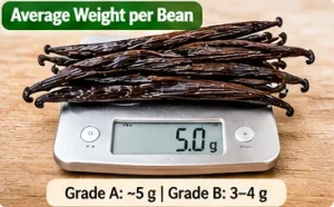 bean weight