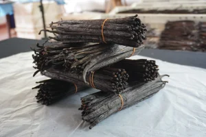vanilla home garden plantation sri lanka vanilla extract bottles two origins