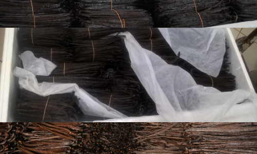 Untitled design 95