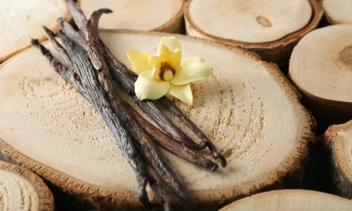 grade a vs grade b vanilla beans